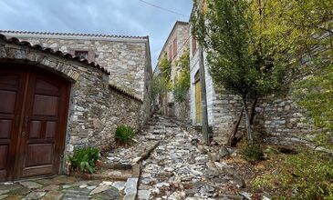 DOMATİA RUM KÖYÜ & KARİNA & ŞİRİNCE TURU 