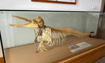 DOMATİA RUM KÖYÜ & KARİNA & ŞİRİNCE TURU 