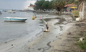 DOMATİA RUM KÖYÜ & KARİNA & ŞİRİNCE TURU 