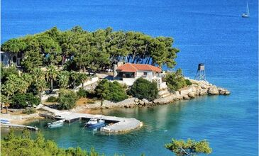 KARABURUN NERGİS ÇİÇEĞİ FESTİVALİ 