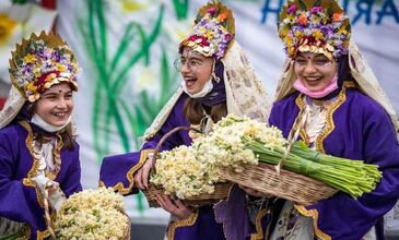 KARABURUN NERGİS ÇİÇEĞİ FESTİVALİ 