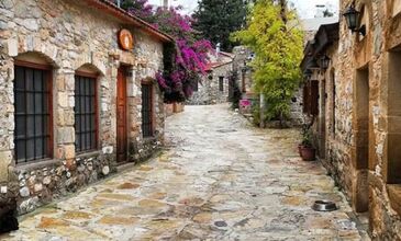 DATÇA BADEM ÇİÇEĞİ FESTİVALİ TURU