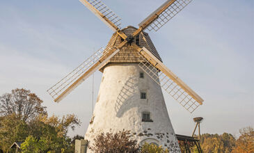 DATÇA BADEM ÇİÇEĞİ FESTİVALİ TURU