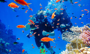 SHARM EL SHEIKH ÖZEL TUR