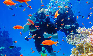 İZMİR ÇIKIŞLI SÖMESTİR ÖZEL 3 GECE SHARM EL SHEİKH TURU